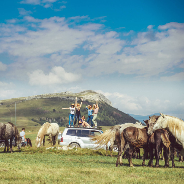 Foto Safari s Divljim Konjima