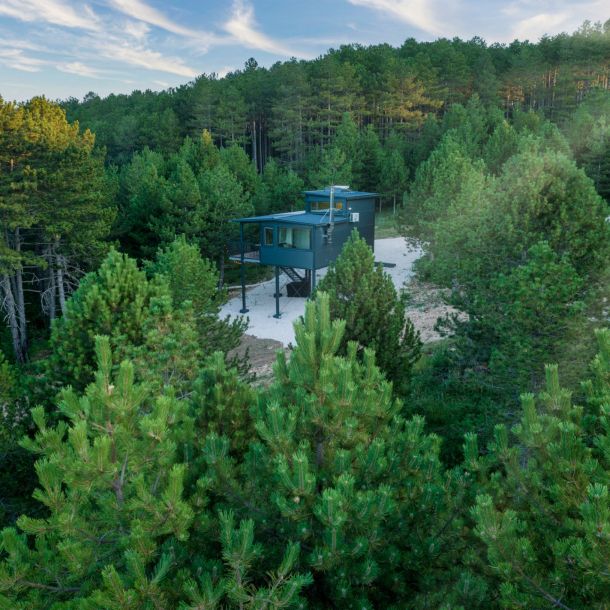 Tree House “892”